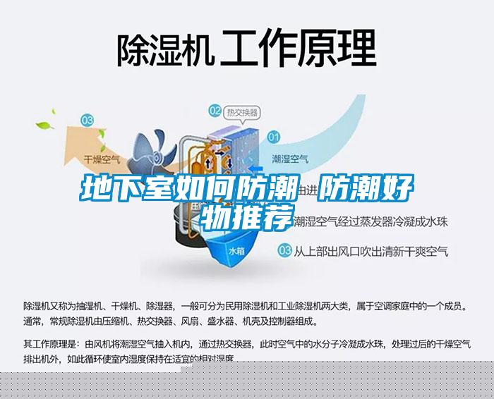 地下室如何防潮 防潮好物推薦