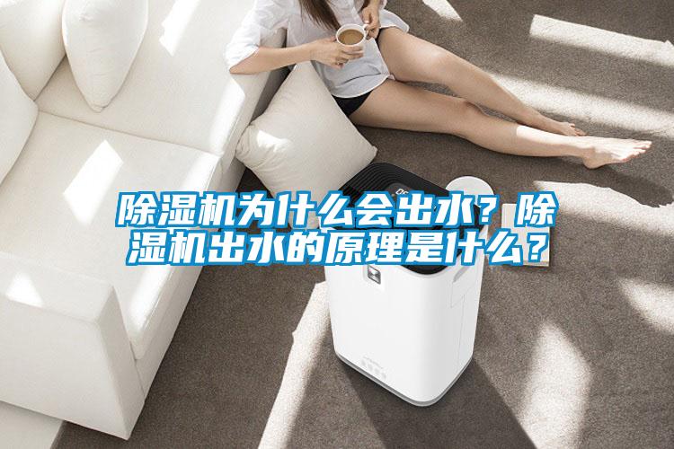 除濕機為什么會出水？除濕機出水的原理是什么？
