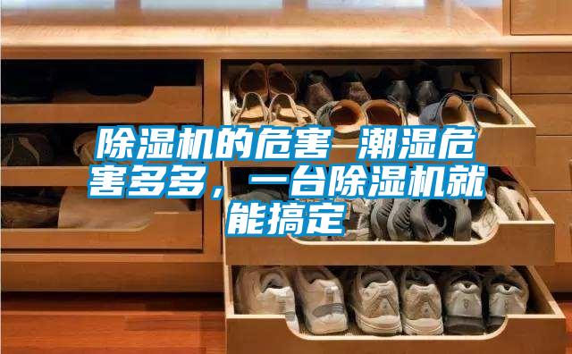 除濕機的危害 潮濕危害多多，一臺除濕機就能搞定