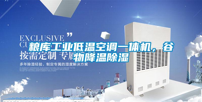 糧庫工業低溫空調一體機，谷物降溫除濕