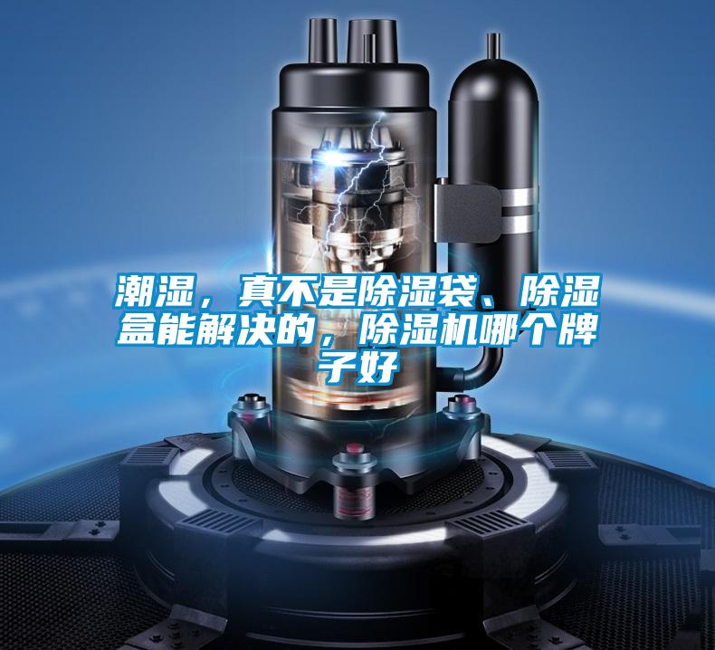 潮濕，真不是除濕袋、除濕盒能解決的，除濕機哪個牌子好