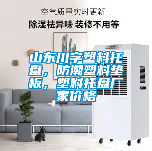 山東川字塑料托盤，防潮塑料墊板，塑料托盤廠家價格