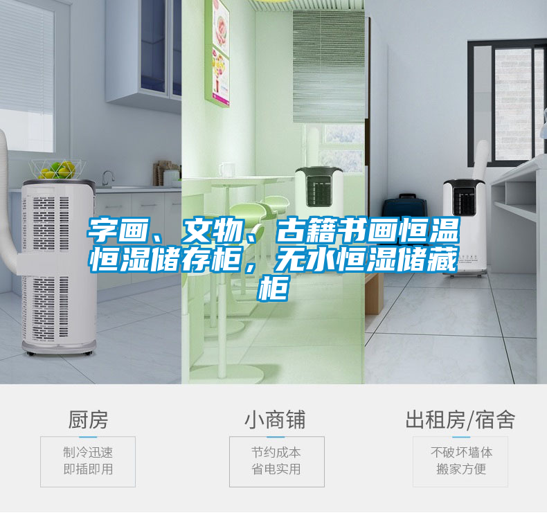 字畫、文物、古籍書畫恒溫恒濕儲(chǔ)存柜，無水恒濕儲(chǔ)藏柜