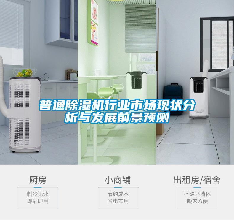 普通除濕機(jī)行業(yè)市場現(xiàn)狀分析與發(fā)展前景預(yù)測
