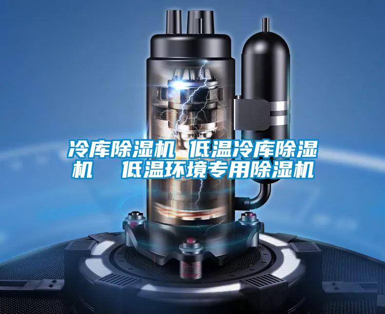 冷庫除濕機 低溫冷庫除濕機 低溫環境專用除濕機