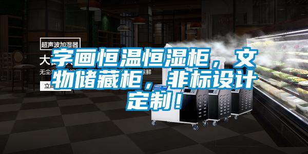 字畫恒溫恒濕柜,文物儲藏柜,非標設計定制!