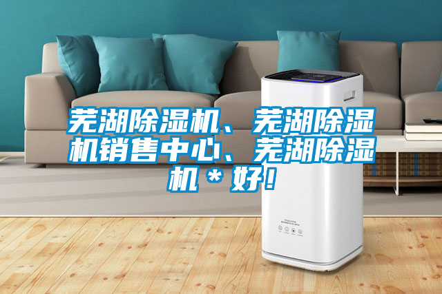 蕪湖除濕機、蕪湖除濕機銷售中心、蕪湖除濕機＊好！