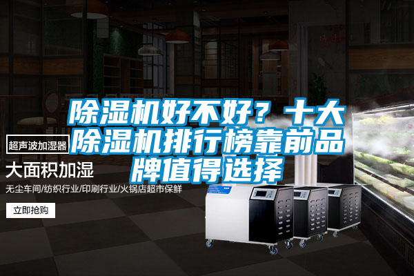 除濕機好不好？十大除濕機排行榜靠前品牌值得選擇