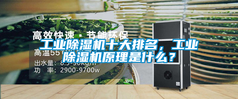 工業(yè)除濕機(jī)十大排名，工業(yè)除濕機(jī)原理是什么？