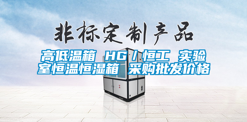高低溫箱 HG/恒工 實(shí)驗(yàn)室恒溫恒濕箱 采購批發(fā)價(jià)格