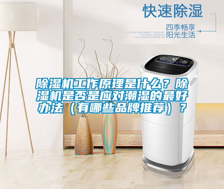 除濕機工作原理是什么？除濕機是否是應對潮濕的最好辦法（有哪些品牌推薦）？
