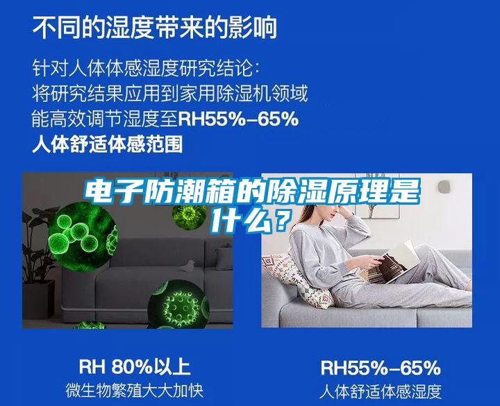 電子防潮箱的除濕原理是什么？
