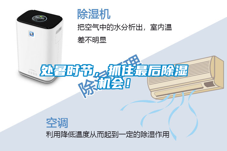 處暑時節，抓住最后除濕機會！