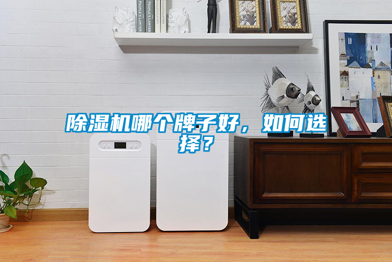 除濕機哪個牌子好，如何選擇？