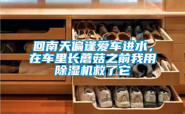 回南天偏逢愛車進水，在車里長蘑菇之前我用除濕機救了它