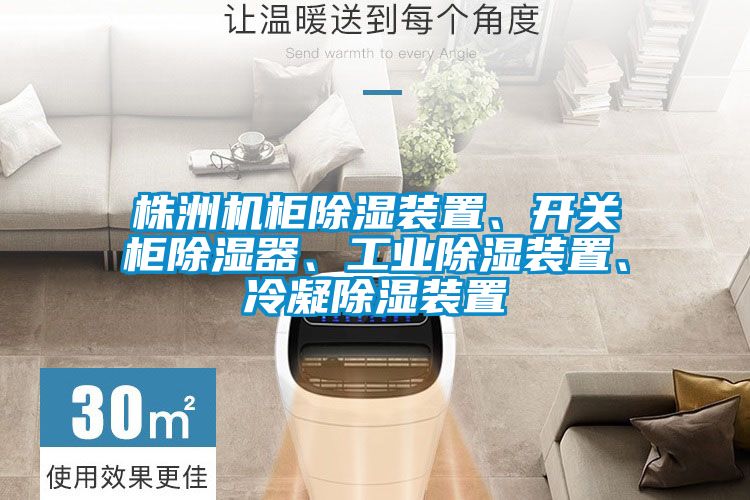 株洲機柜除濕裝置、開關柜除濕器、工業(yè)除濕裝置、冷凝除濕裝置