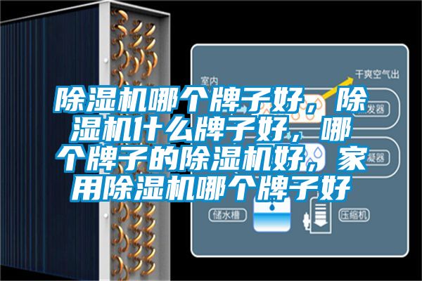 除濕機(jī)哪個(gè)牌子好，除濕機(jī)什么牌子好，哪個(gè)牌子的除濕機(jī)好，家用除濕機(jī)哪個(gè)牌子好