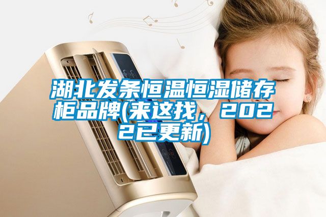 湖北發(fā)條恒溫恒濕儲存柜品牌(來這找，2022已更新)