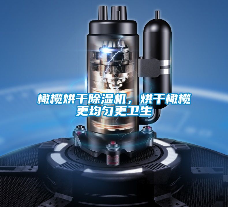 橄欖烘干除濕機，烘干橄欖更均勻更衛生