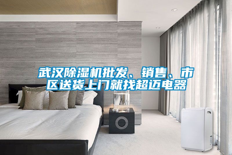 武漢除濕機批發、銷售、市區送貨上門就找超邁電器