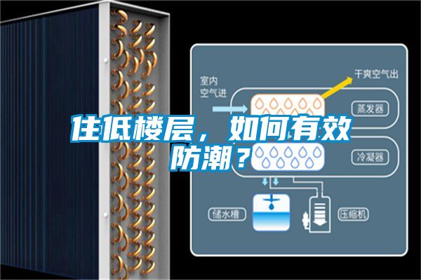 住低樓層，如何有效防潮？