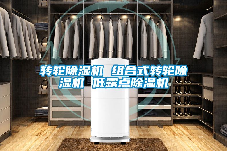 轉(zhuǎn)輪除濕機(jī) 組合式轉(zhuǎn)輪除濕機(jī) 低露點除濕機(jī)