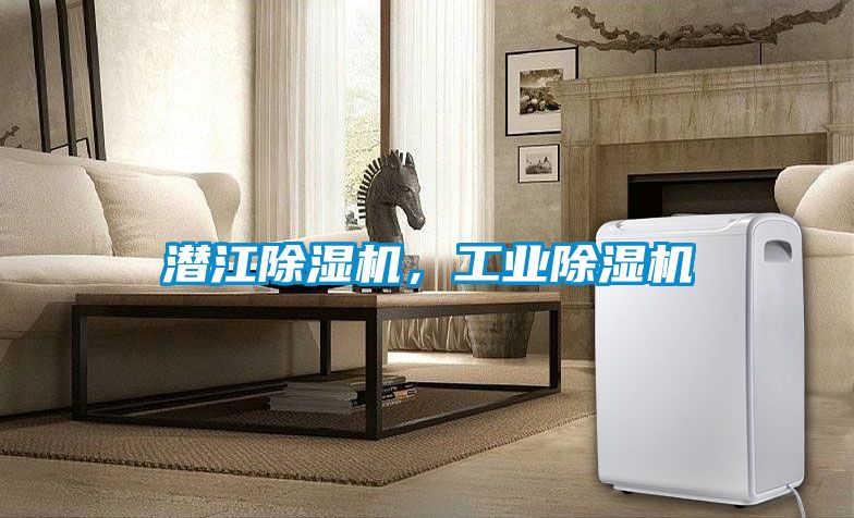 潛江除濕機，工業除濕機