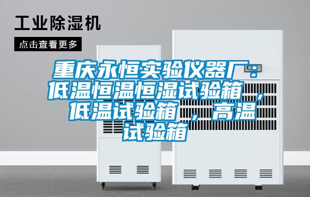 重慶永恒實驗儀器廠:低溫恒溫恒濕試驗箱 , 低溫試驗箱 , 高溫試驗箱