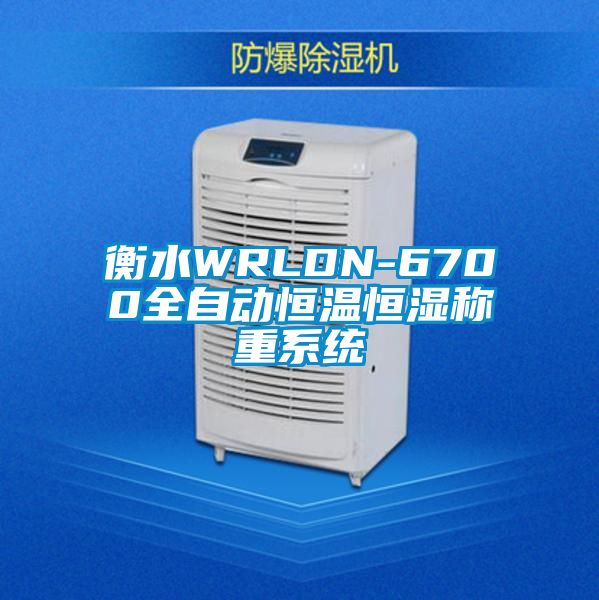 衡水WRLDN-6700全自動(dòng)恒溫恒濕稱(chēng)重系統(tǒng)