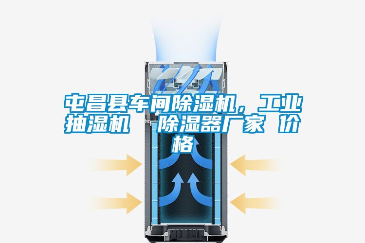 屯昌縣車間除濕機，工業抽濕機  除濕器廠家 價格